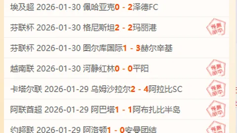 萨拉赫关键绝平，利物浦与纽卡斯尔战成1-1平局